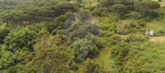 Terreno en Sintra, Portugal No. 66731 13