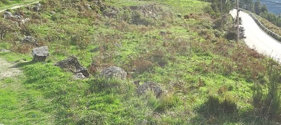 Land in Amarante, Portugal No. 57091 5