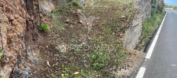  Land in Calheta, Portugal No. 39941 3