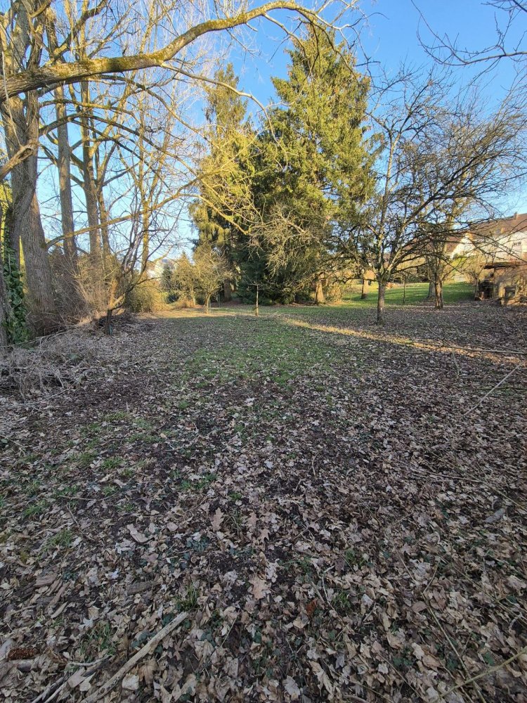  Land in Neunkirchen, Germany No. 341252