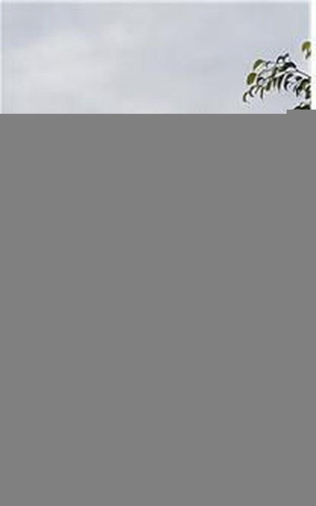 استوديو في Tres de Febrero, Argentina رقم 5442