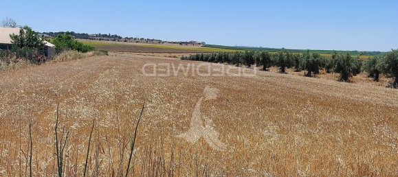 Grundstück in Beja, Portugal 9250m², Nr. 62727 15