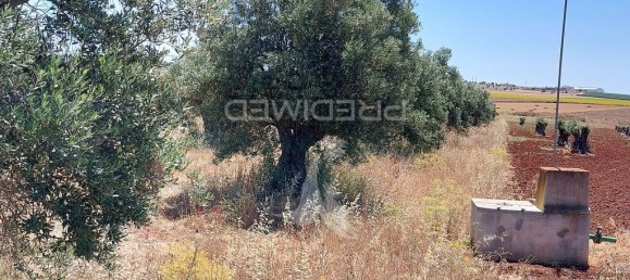 Grundstück in Beja, Portugal 9250m², Nr. 62727 9