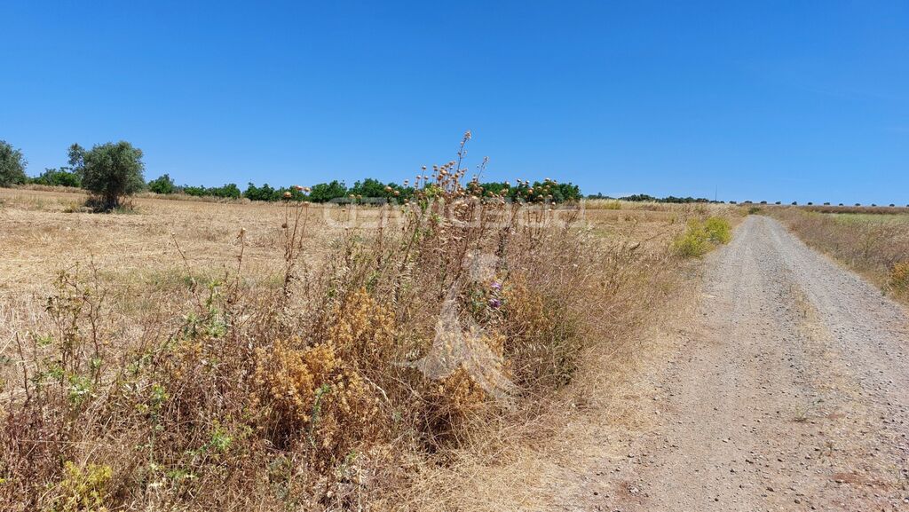 Grundstück in Beja, Portugal 9250m², Nr. 62727