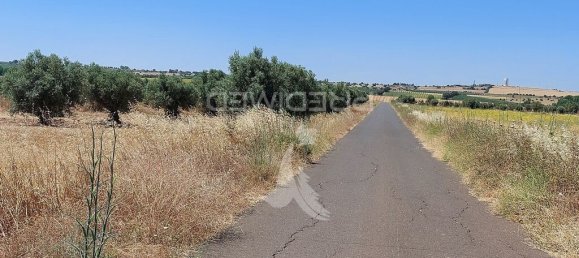 Grundstück in Beja, Portugal 9250m², Nr. 62727 17