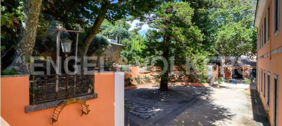 12 bedrooms House in Oeiras, Portugal No. 106049 39