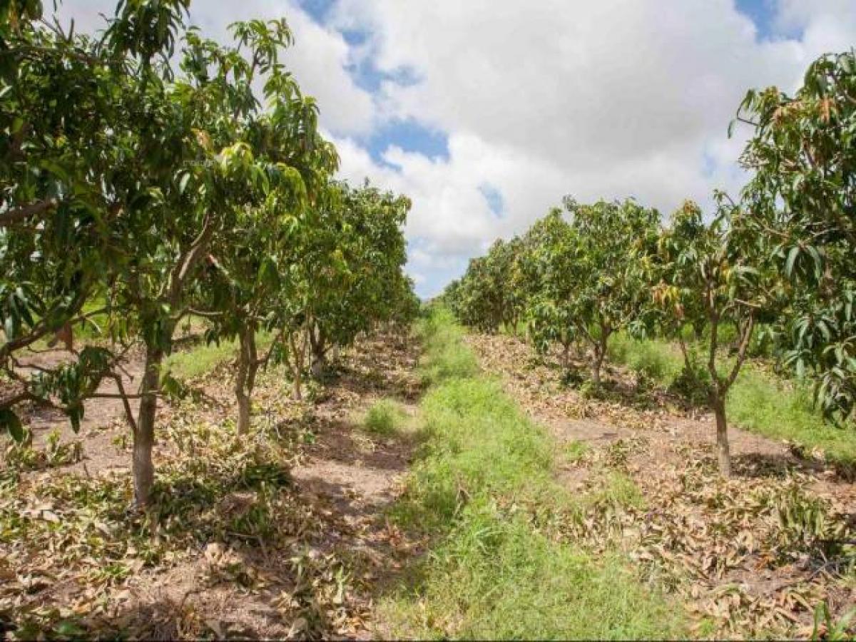  Land in Hyderabad, India No. 38687