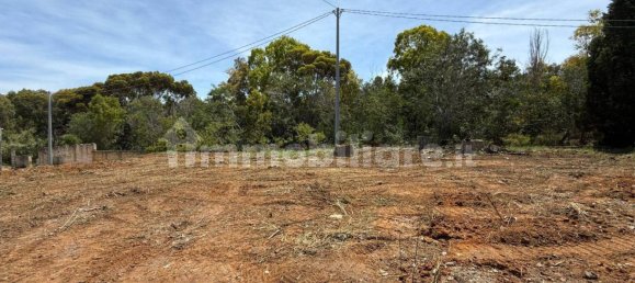 Almacén en Balestrate, Italy 1600 m² No. 325387 14