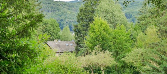 6293m² Land in Eichgraben, Austria No. 247505 4