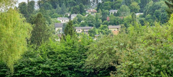 6293m² Land in Eichgraben, Austria No. 247505 9