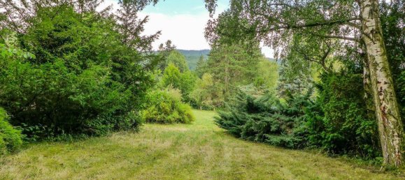 6293m² Land in Eichgraben, Austria No. 247505 32