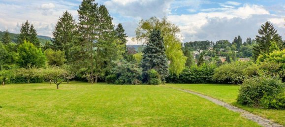 6293m² Land in Eichgraben, Austria No. 247505 11