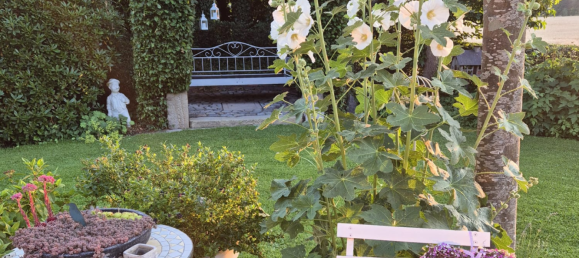 6-Zimmer Stadthaus in Emsland, Germany, Nr. 267663 23