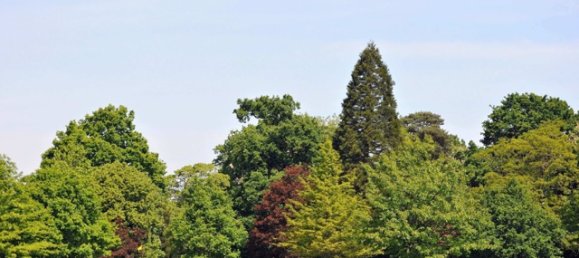 3 Schlafzimmer Haus in Horsham, United Kingdom, Nr. 3464 12