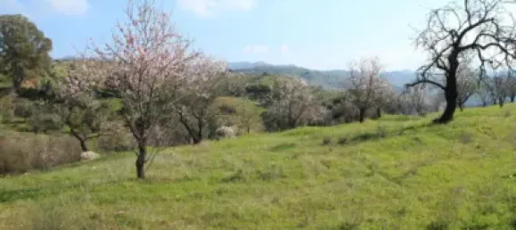  قطعة أرض في Puerto De La Torre, Spain رقم 181661 2
