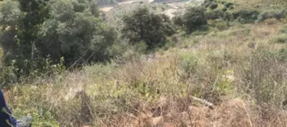  قطعة أرض في Puerto De La Torre, Spain رقم 181661 4