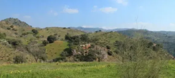  قطعة أرض في Puerto De La Torre, Spain رقم 181661 3