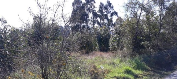  قطعة أرض في Aveiro, Portugal 4600متر مربع رقم 86727 4