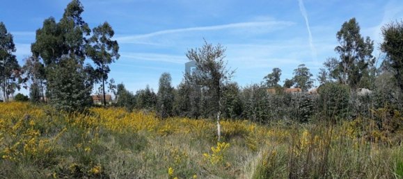  قطعة أرض في Aveiro, Portugal 4600متر مربع رقم 86727 3