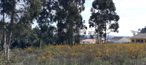  قطعة أرض في Aveiro, Portugal 4600متر مربع رقم 86727 9