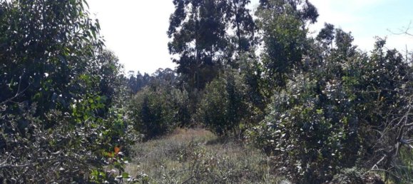  قطعة أرض في Aveiro, Portugal 4600متر مربع رقم 86727 5