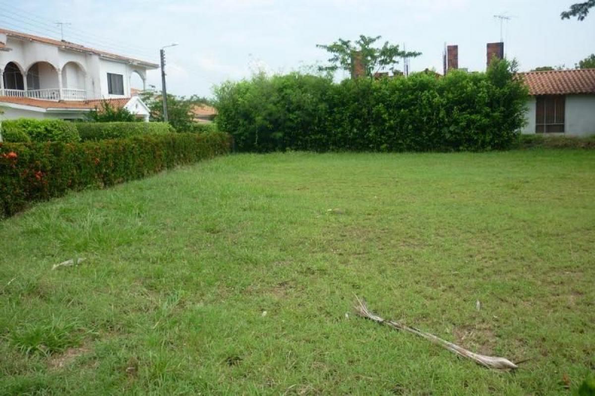 6 bedrooms House in Tolima, Colombia No. 7163