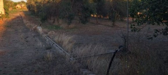 8 chambres Villa à Manduria, Italy No. 342664 17