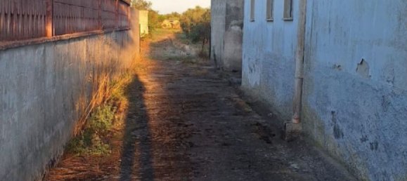 8 chambres Villa à Manduria, Italy No. 342664 16