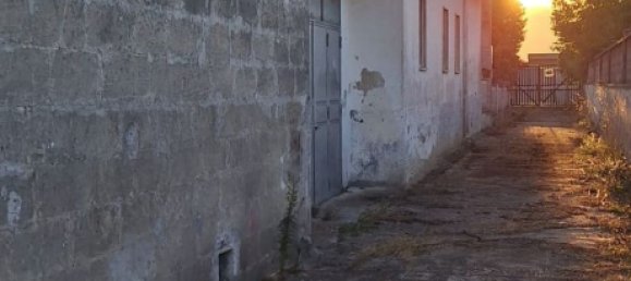 8 chambres Villa à Manduria, Italy No. 342664 15