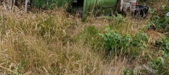  Land in Braunschweig, Germany No. 334811 3