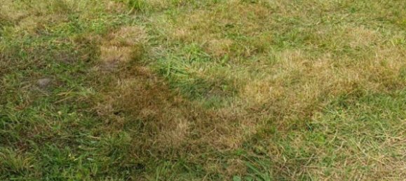  Land in Braunschweig, Germany No. 334811 2