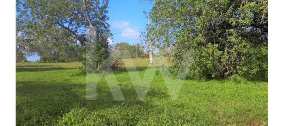 Grundstück in Ferreiras, Portugal 20050m², Nr. 77497 7