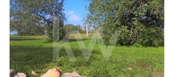 Grundstück in Ferreiras, Portugal 20050m², Nr. 77497 3