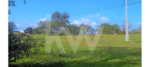 Grundstück in Ferreiras, Portugal 20050m², Nr. 77497 5