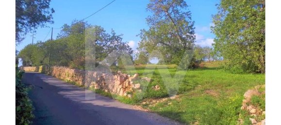 Grundstück in Ferreiras, Portugal 20050m², Nr. 77497 2