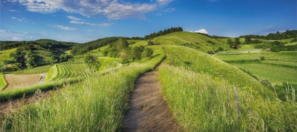 Земельный участок в Пула, Италия № 374106 39