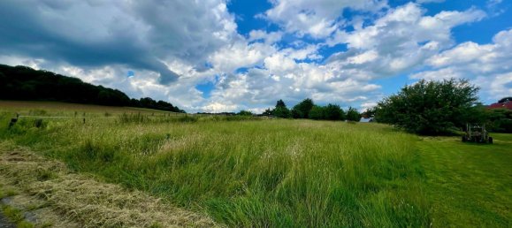  Land in Wetteraukreis, Germany No. 30515 2