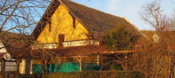 Propriété commerciale à Roschitz, Austria 234m² No. 246340 24