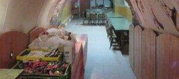 Propriété commerciale à Roschitz, Austria 234m² No. 246340 2