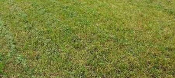 Propriété commerciale à Roschitz, Austria 234m² No. 246340 23