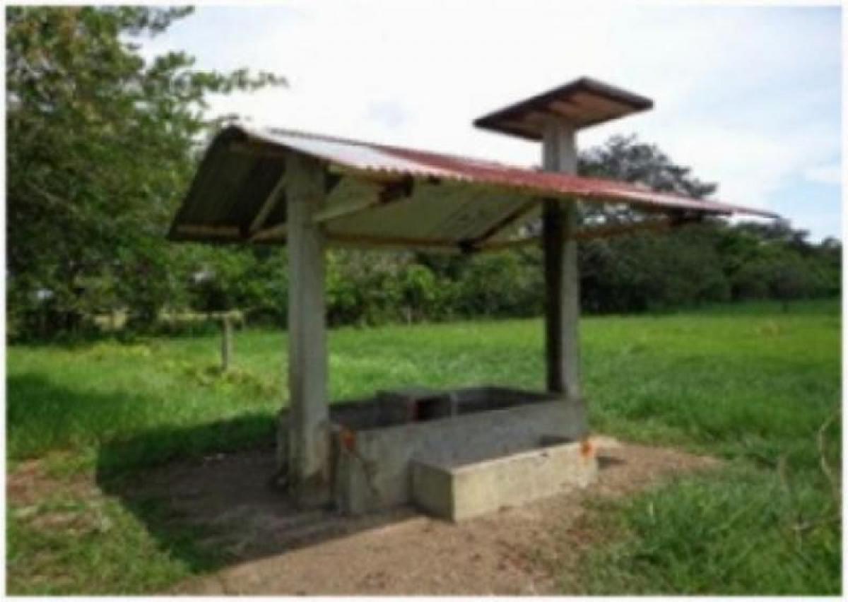 Studio in Meta, Colombia No. 8640