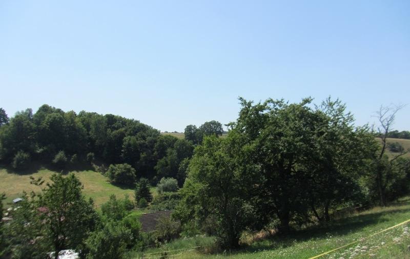 Земельный участок в Зале-Хольцланд, Германия № 155221