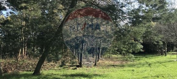 Terreno en Sao Joao de Areias, Portugal 25280 m² No. 38386 3