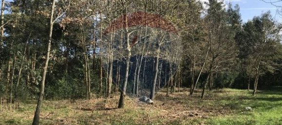 Terreno en Sao Joao de Areias, Portugal 25280 m² No. 38386 2