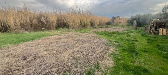 Terreno en Ciampino, Italy No. 28772 7