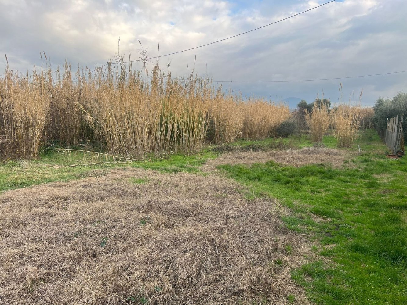 Terreno en Ciampino, Italy No. 28772