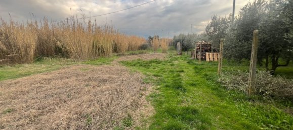 Terreno en Ciampino, Italy No. 28772 8