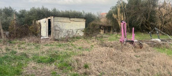 Terreno en Ciampino, Italy No. 28772 4