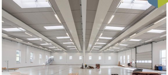 Entrepôt à Lichtenberg, Austria 292m² No. 65528 5