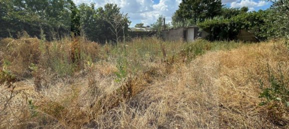 10-Zimmer Haus in Rome, Italy, Nr. 34324 6